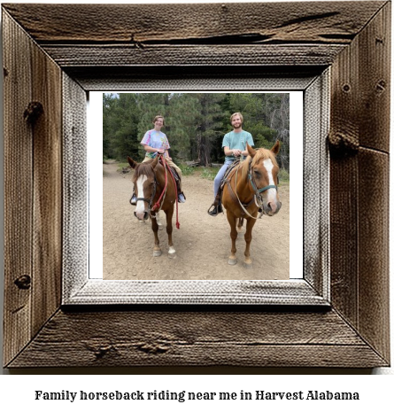 family horseback riding near me in Harvest, Alabama